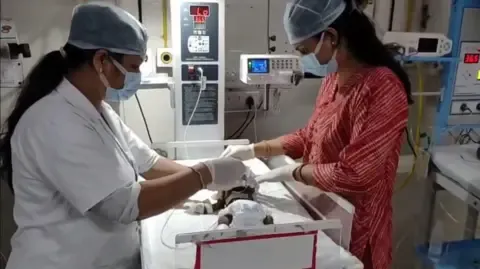 Newborn Buried Alive in India Struggles for Existence
