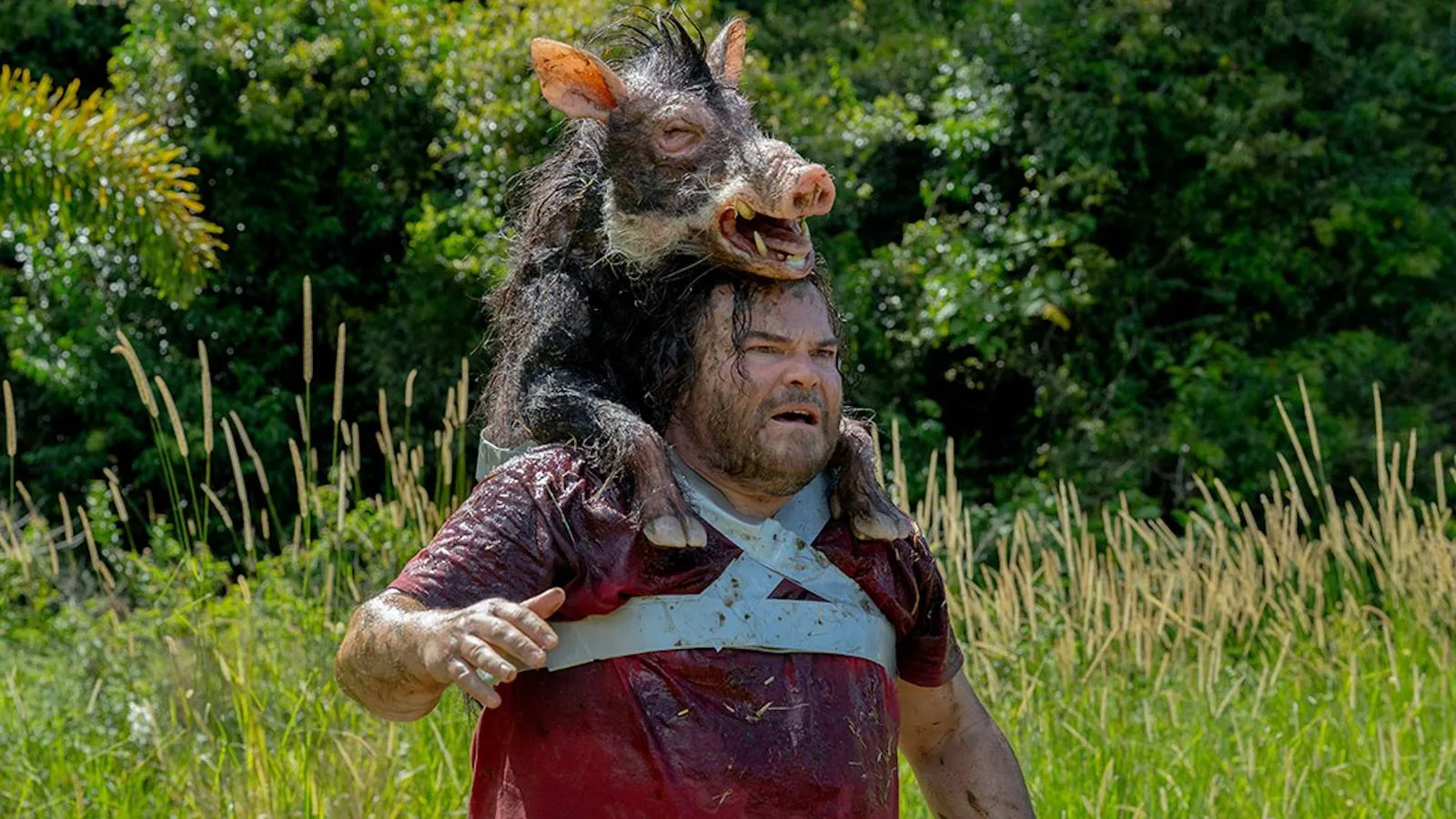 The Studio's Giant Snake Film Revival Is a Really Good Idea
