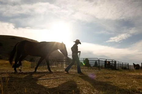Discover the American Cowgirls Reshaping Modern Ranching