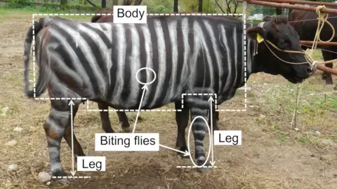 Black-and-White Bovines and Teflon Food Win Lighthearted Science Awards