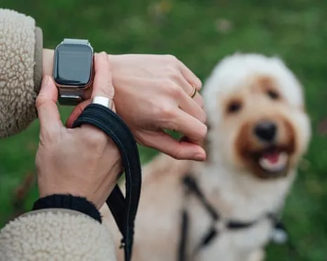 The Honest Scoop About Wearable Tech? Daily Existence Is Better Without a Hectoring Zealot on Your Wristwear